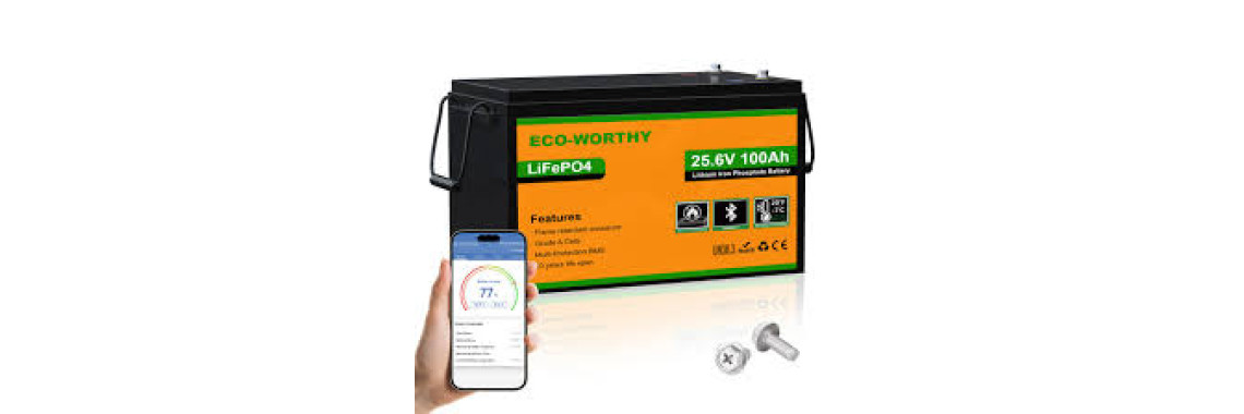 ECO-WORTHY LiFePO4 Batterie 24V 100Ah