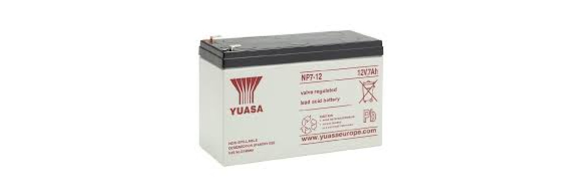 Yuasa NP7-12 Batterie 24V 7Ah (2 batteries série)