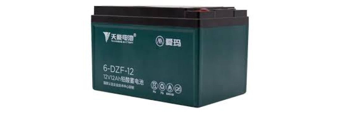 Tianneng 6-DZF-12 Battery 12V 12Ah