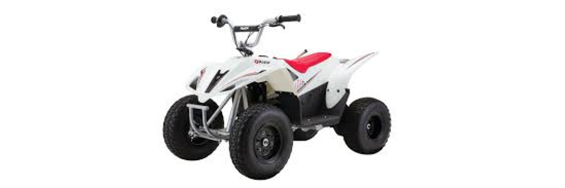 Razor Dirt Quad 36V Electric ATV