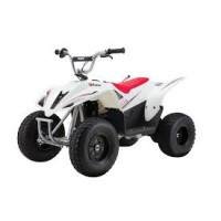 Razor Dirt Quad 36V Electric ATV